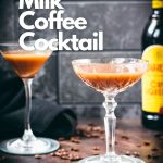 Cocktail glass filled with delicious iced chocolate almondmilk shaken espresso. A delightful twist on a classic coffee recipe.