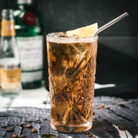 Gorgeous highball glass filled with cold brew gin and tonic. Garnished with a lime slice and served with a metal straw.