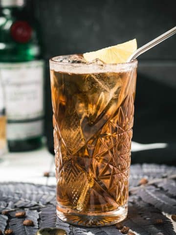 Gorgeous highball glass filled with cold brew gin and tonic. Garnished with a lime slice and served with a metal straw.