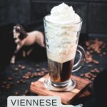 Beautiful tall glass filled with strong coffee and topped with whipped cream. Placed on brown coasters and pretty horse in the background. The Einspänner, a Viennese classic!