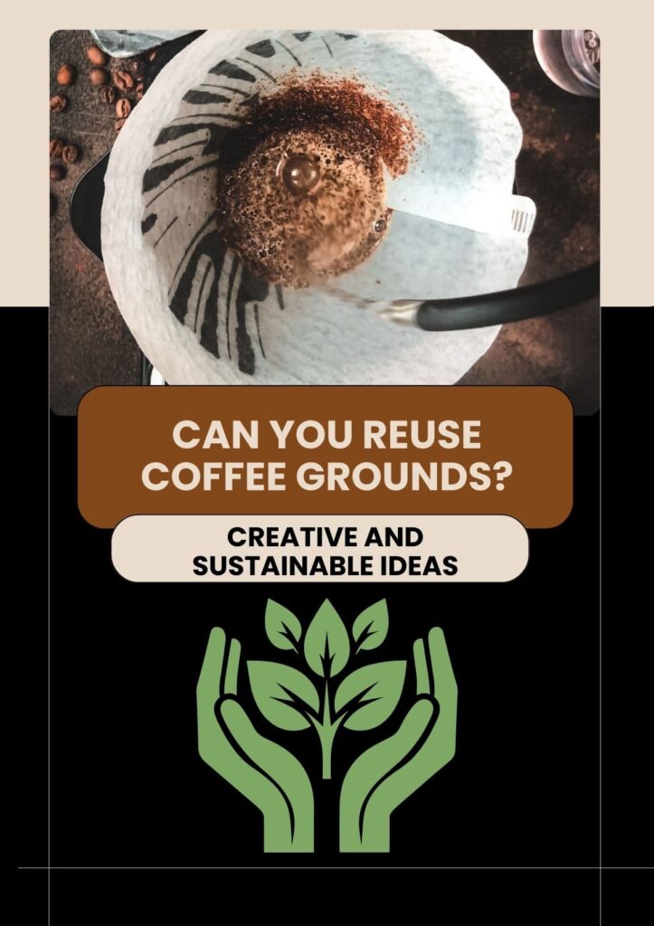 Can You Reuse Coffee Grounds? Creative and Sustainable Ideas